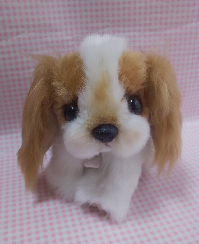 ふわふわぬいぐるみ キャバリア 子犬 Iichi ハンドメイド クラフト作品 手仕事品の通販