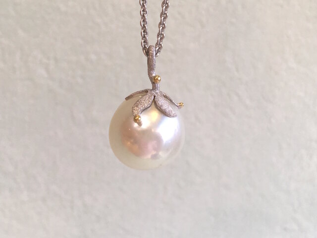 plant pearlの画像1枚目