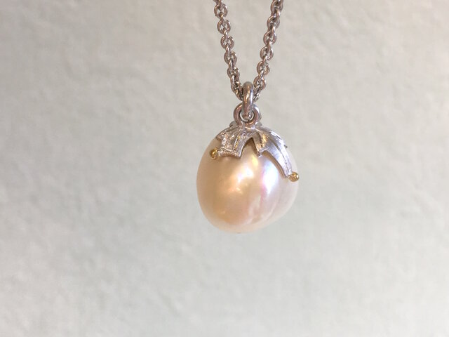 plant pearlの画像1枚目