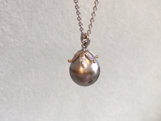plant pearlの画像1枚目