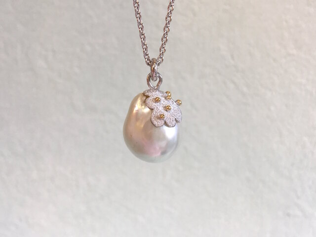 plant pearlの画像1枚目