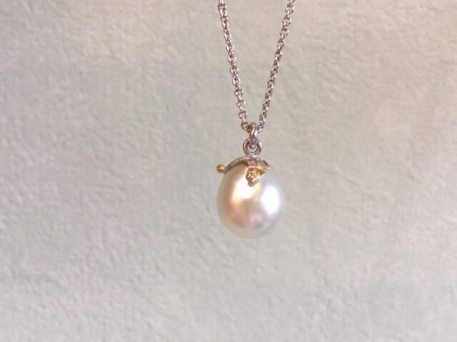 plant pearlの画像1枚目