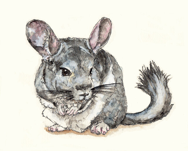 要写真 B5サイズ水彩スケッチ | iichi 日々の暮らしを心地よく