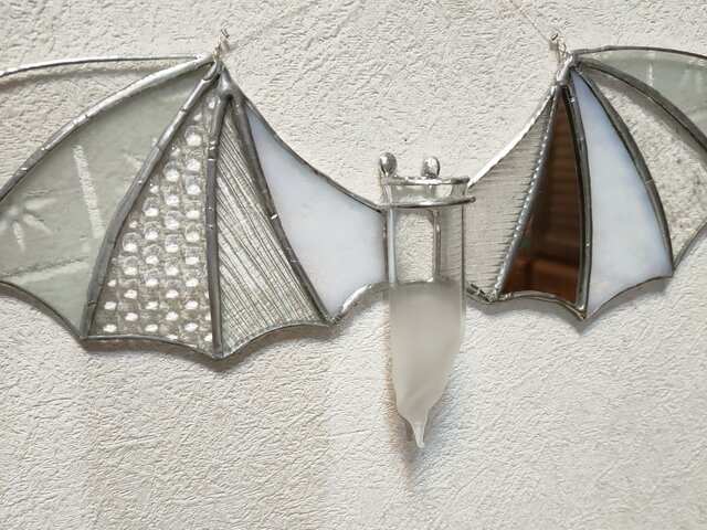 P.Willinckii “windbell” 風鈴 #platycerium