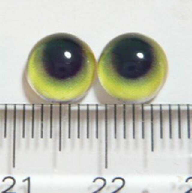 にゃんこのおめめ○半球グラスアイ○猫目○8mm○08083