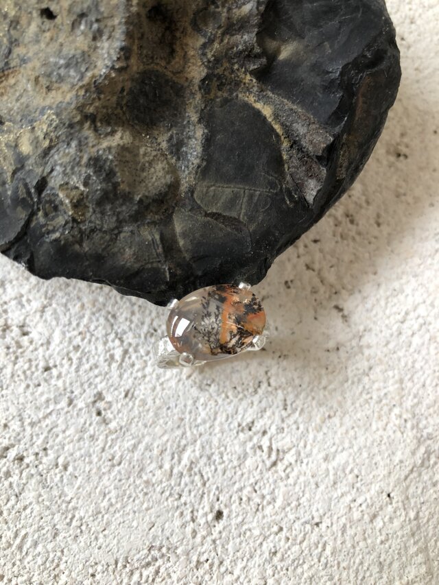地中の記憶の画像1枚目