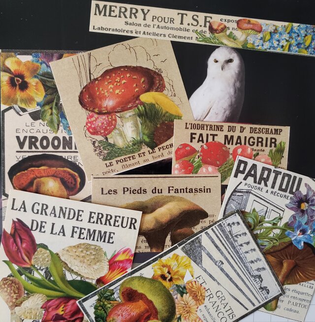 1920年代/france 洋書ステッカー きのこと花たち 24枚setの画像1枚目