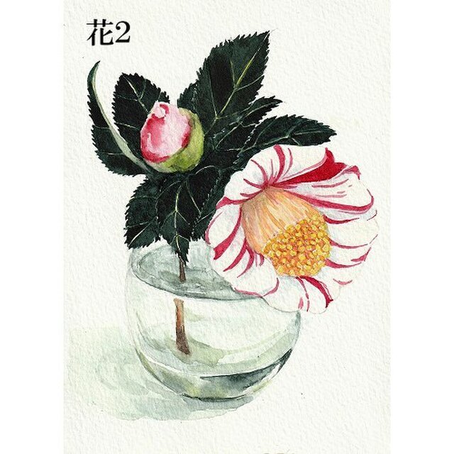 ポストカード 花２ 椿の花 春の台 選べる2枚セット Iichi ハンドメイド クラフト作品 手仕事品の通販