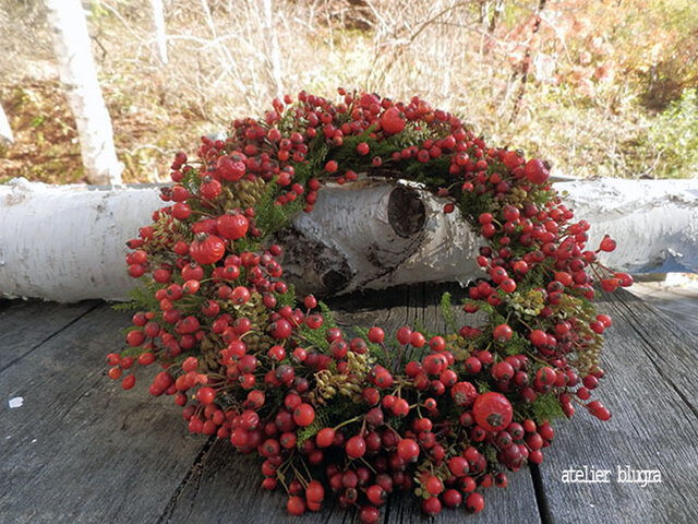 atelier blugra八ヶ岳〜秋色ノイバラの実Wreath01の画像1枚目
