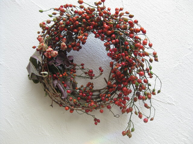 野バラの実のwreath-Ⅱの画像1枚目
