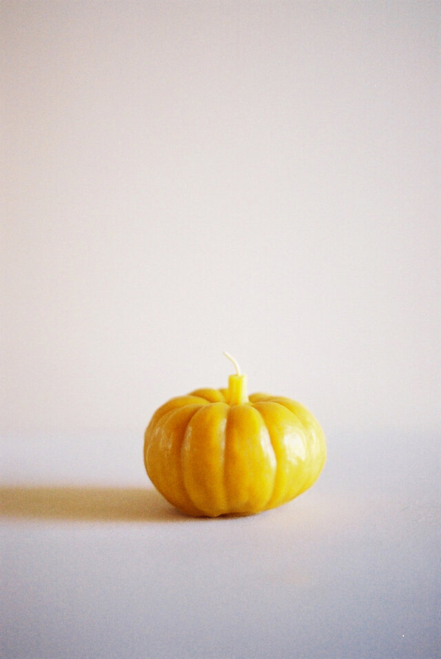 Squash Bの画像1枚目