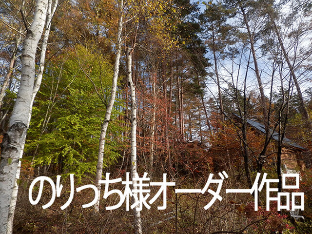 八ヶ岳〜のりっち様オーダー作品の画像1枚目
