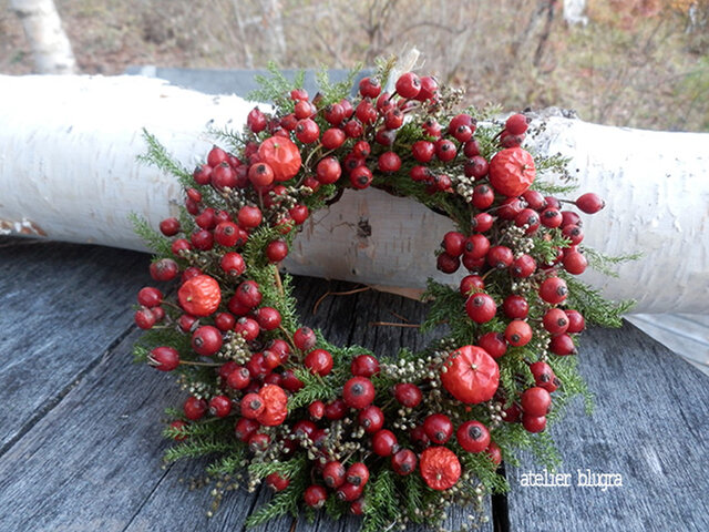 atelier blugra八ヶ岳〜秋色ノイバラの実ミニWreath01の画像1枚目