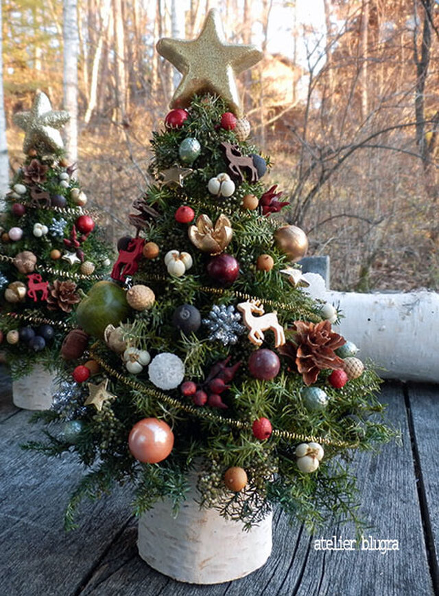 八ヶ岳〜八ヶ岳〜2019静かな森のChristmas⭐️Tree012の画像1枚目