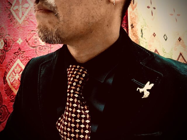 SOLID DESIGN SDr-251 【立体ピンズ】 生き物図鑑ピンズ 昆虫