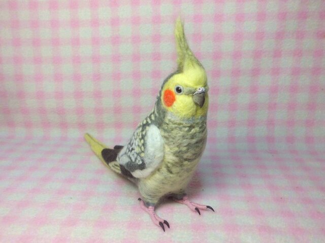 リアルサイズ オカメインコ パール（羽色変更可能） 羊毛フェルト 羊毛