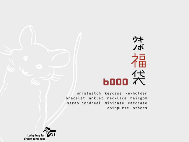 2020夢も希望も叶える☆HAPPY BAG「キボウノ福袋」¥12000相当~リクエスト可能の画像1枚目