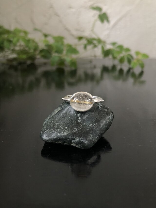 一本のルチルの画像1枚目