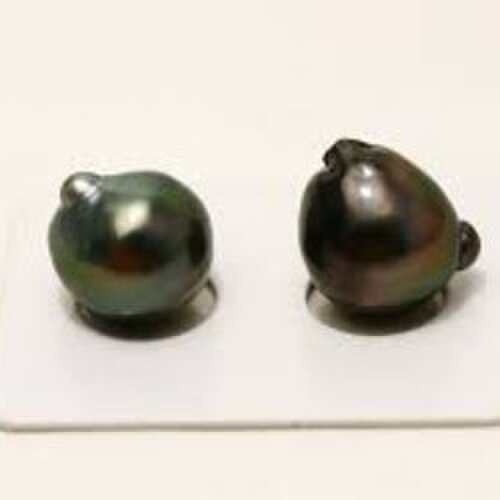 タヒチ黒蝶真珠パールルース　両穴　15×13mm　ブラックカラー