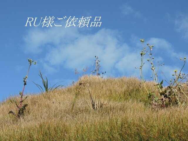 RU様ご依頼品の画像1枚目