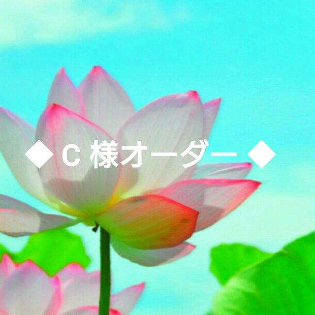 【C様オーダー】の画像1枚目