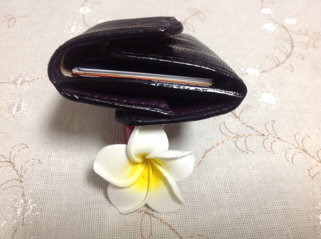 コンパクト財布 黒リザード✖️茶色がかった紫 | iichi 日々の