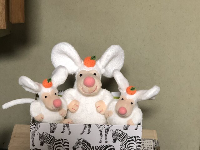 SNOWマウスMの画像1枚目