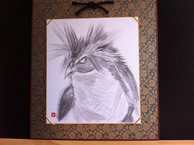 一点を見つめるイワトビペンギンの画像1枚目