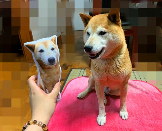 ダーメイド 20cm✩ ワンちゃん、猫ちゃんのオーダークッションの画像1枚目