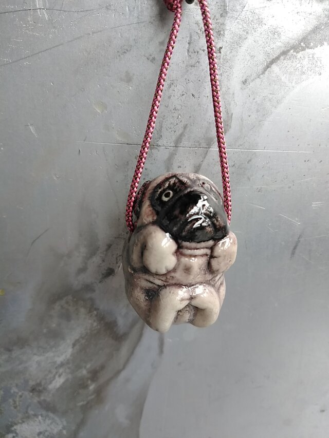 琦 パグの画像1枚目