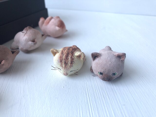 選べるチョコレートみたいな猫さん6匹セット        