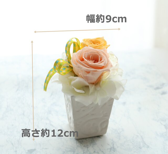 New◇春に贈ろう飾ろう！小さなバラのプリザーブドフラワー