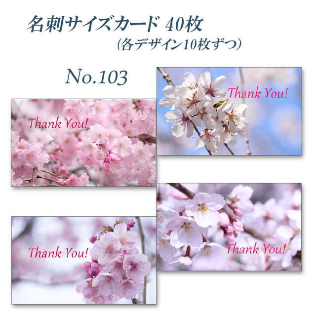 No.103 春爛漫の桜たちのカード 名刺サイズサンキューカード 40枚