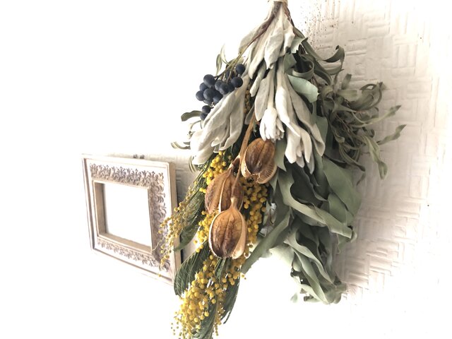 Mimosa Anique Bouquet Lサイズの画像1枚目