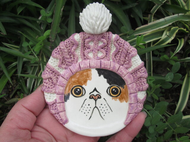 ボトムスス単品 ニット帽な小皿 エキゾチックショートヘア Winetours Az