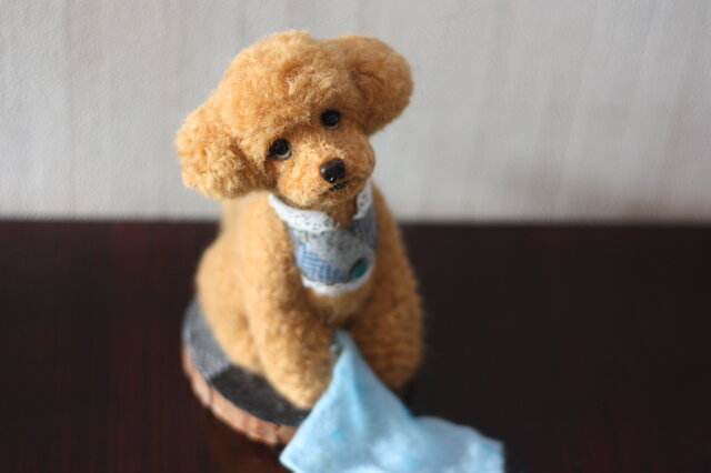 くださいな。。。ねぇ いいでしょ?。。。トイプードルの画像1枚目