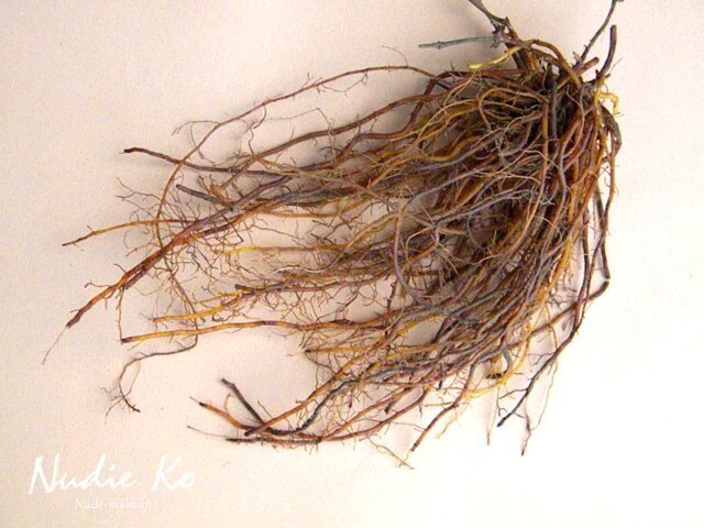 天然染料 日本茜(ニホンアカネ)染色用の画像1枚目