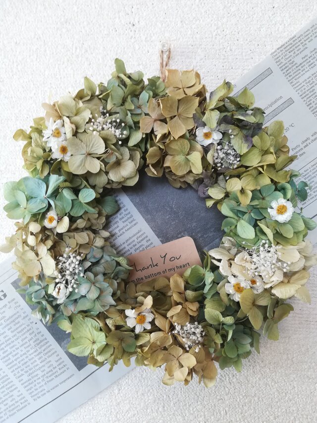 （送料無料）ドライフラワーリース　あじさいと白いお花と、