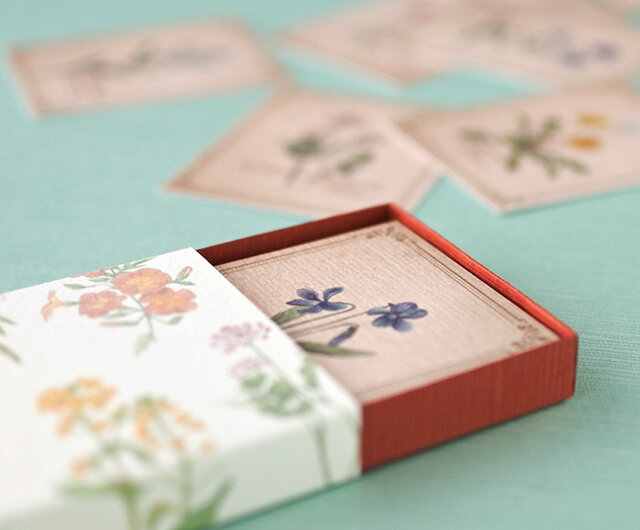 野の花の小さな図鑑風メッセージカードBOXの画像1枚目