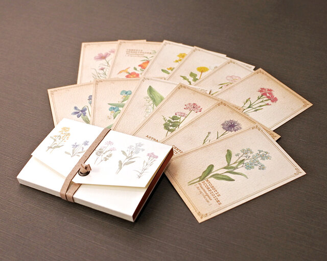 野の花の図鑑風メッセージカード（専用ケース付き） | iichi 日々の