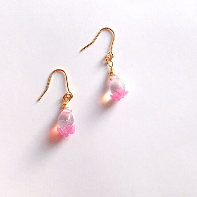 桜貝のしずくピアス / イヤリングの画像1枚目