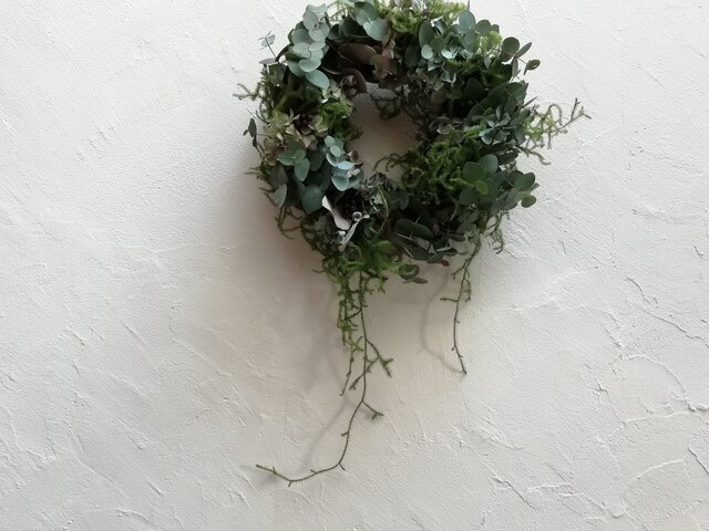 ユーカリと紫陽花のwreathの画像1枚目