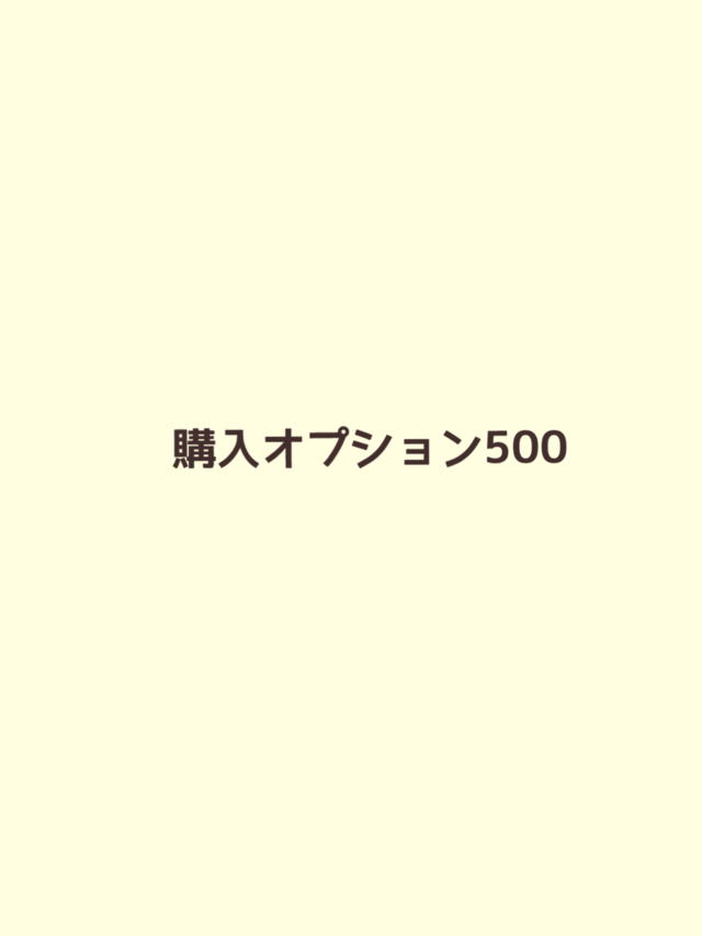購入オプション500の画像1枚目