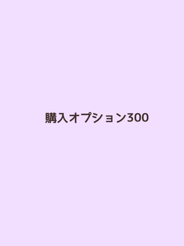 購入オプション300の画像1枚目