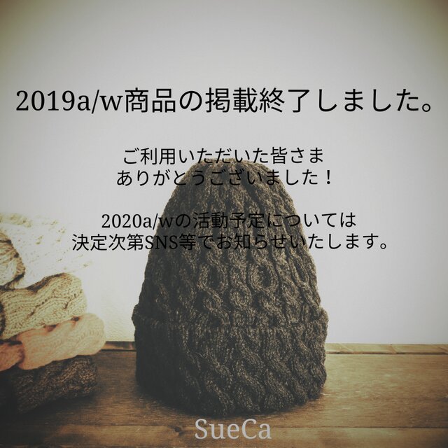 2019a/wの画像1枚目