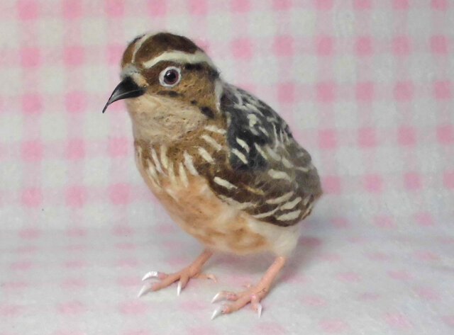 羊毛の小鳥：ライフサイズ（1/1サイズ）1羽：ヒメウズラ 「うち