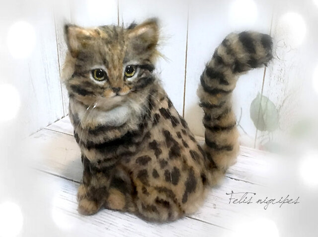 羊毛フェルト 猫 キジシロ猫さんとセキセイインコさん キジ白