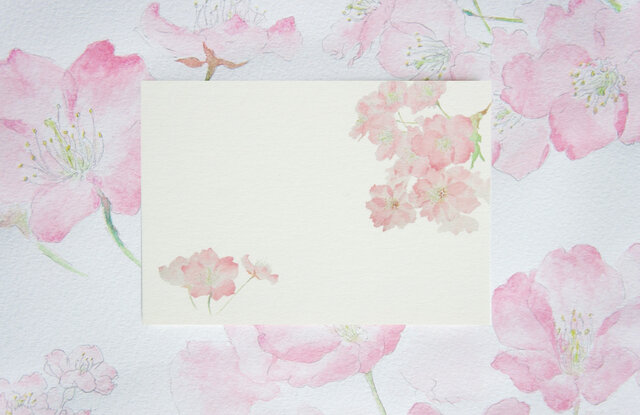 メッセージカード【さくらさく】の画像1枚目