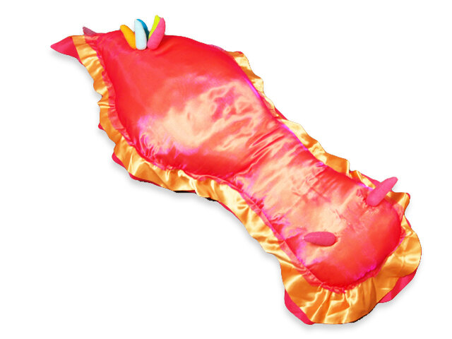 うみうしアート抱き枕クッション （サンセットレッド） | iichi 日々の