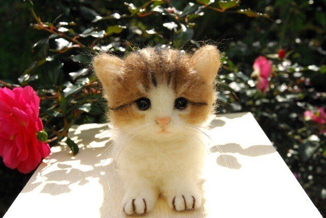 ぶーにゃんちゃん御予約❤子猫ちゃん❤ オヨネコぶーにゃん（2） (フラワーコミックス) | 市川みさこ